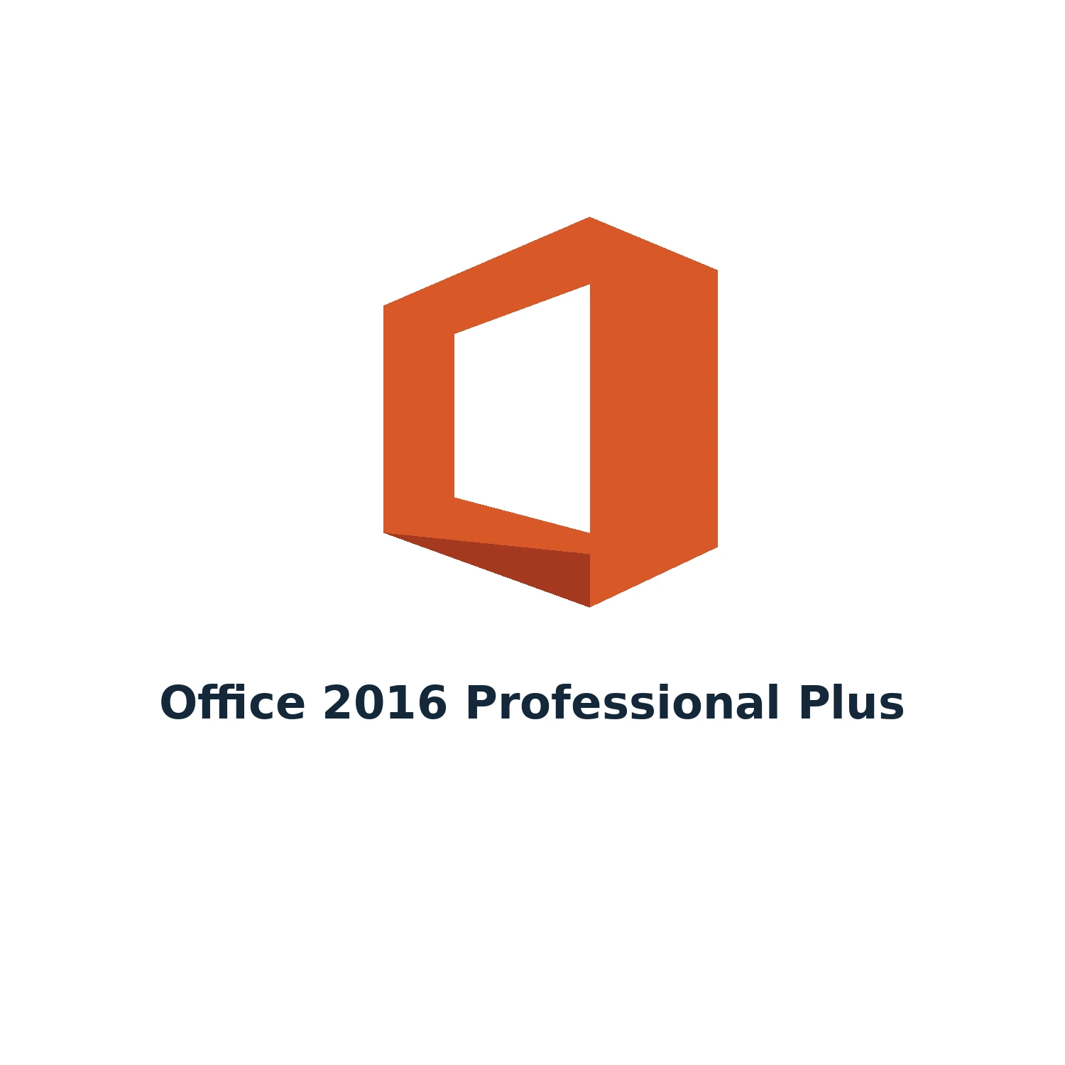Office 2016 Professional Plus – Licence Key – Single PC – Lifetime — product illustration