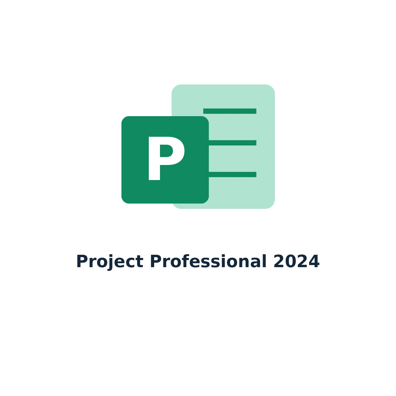 Project Professional 2024 – Licence Key – Single PC – Lifetime — product illustration