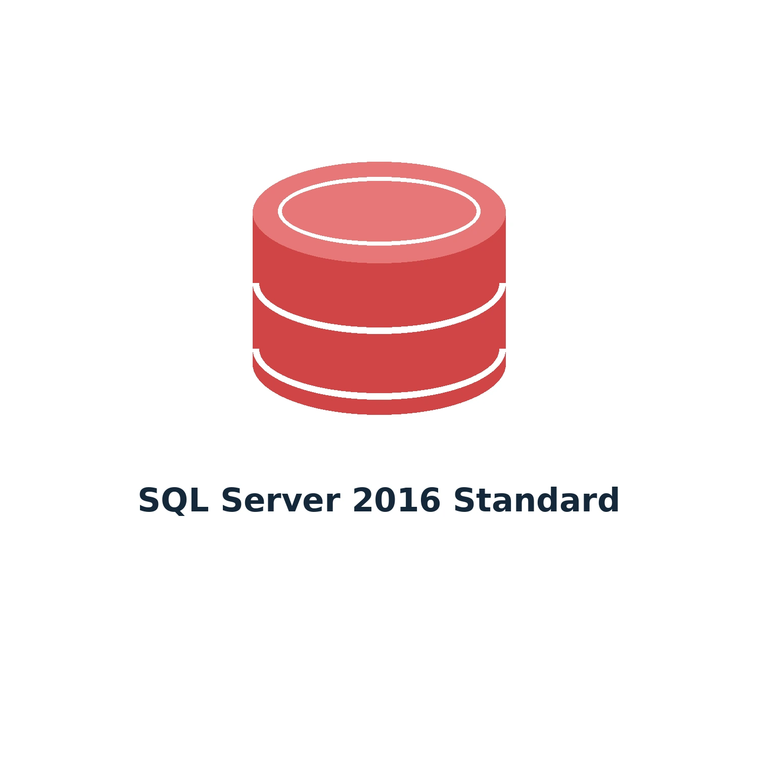 SQL Server 2016 Standard – Digital Licence Key – Lifetime — product illustration