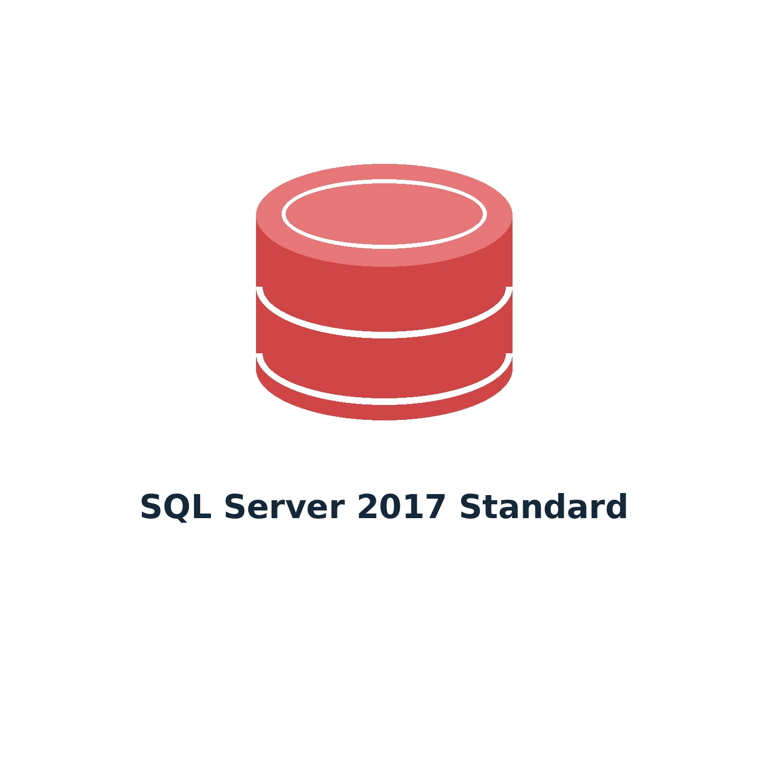 SQL Server 2017 Standard – Digital Licence Key – Lifetime — product illustration