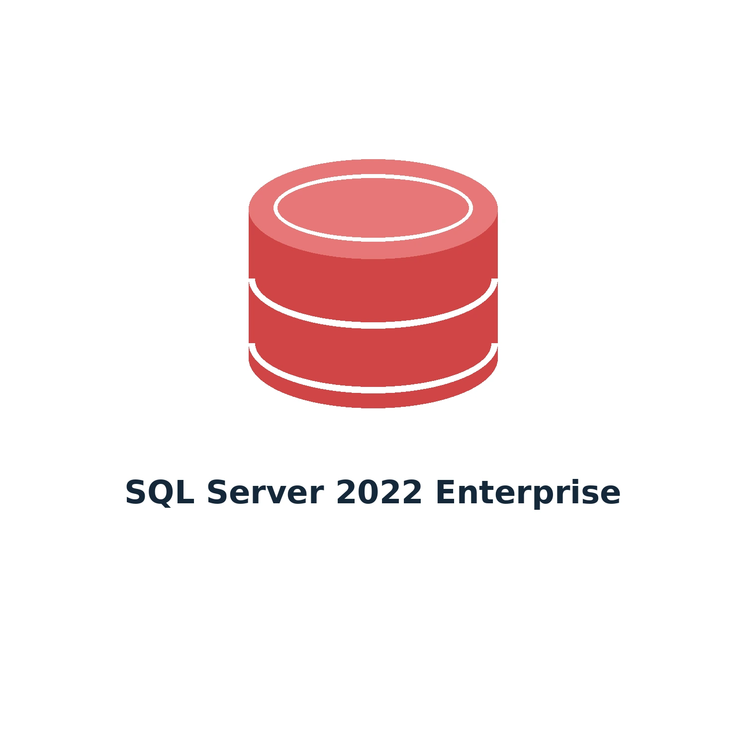 SQL Server 2022 Enterprise – Digital Licence Key – Lifetime — product illustration