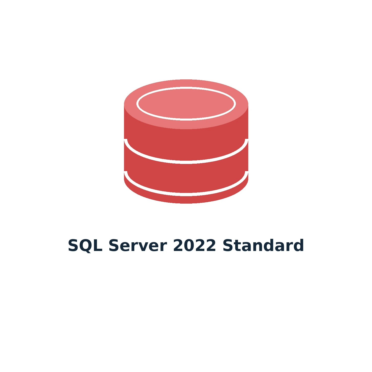 SQL Server 2022 Standard – Digital Licence Key – Lifetime — product illustration