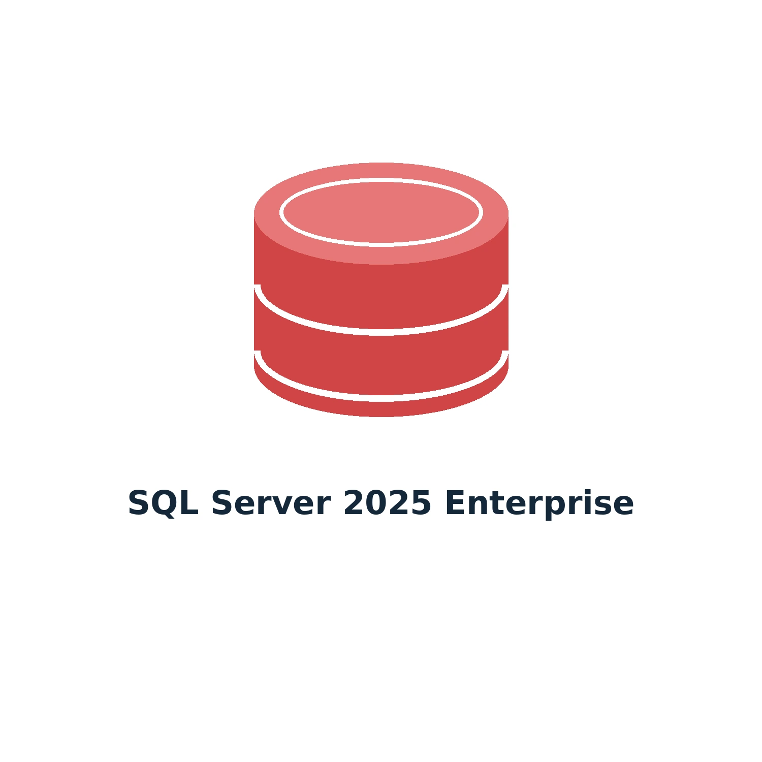 SQL Server 2025 Enterprise – Digital Licence Key – Lifetime — product illustration