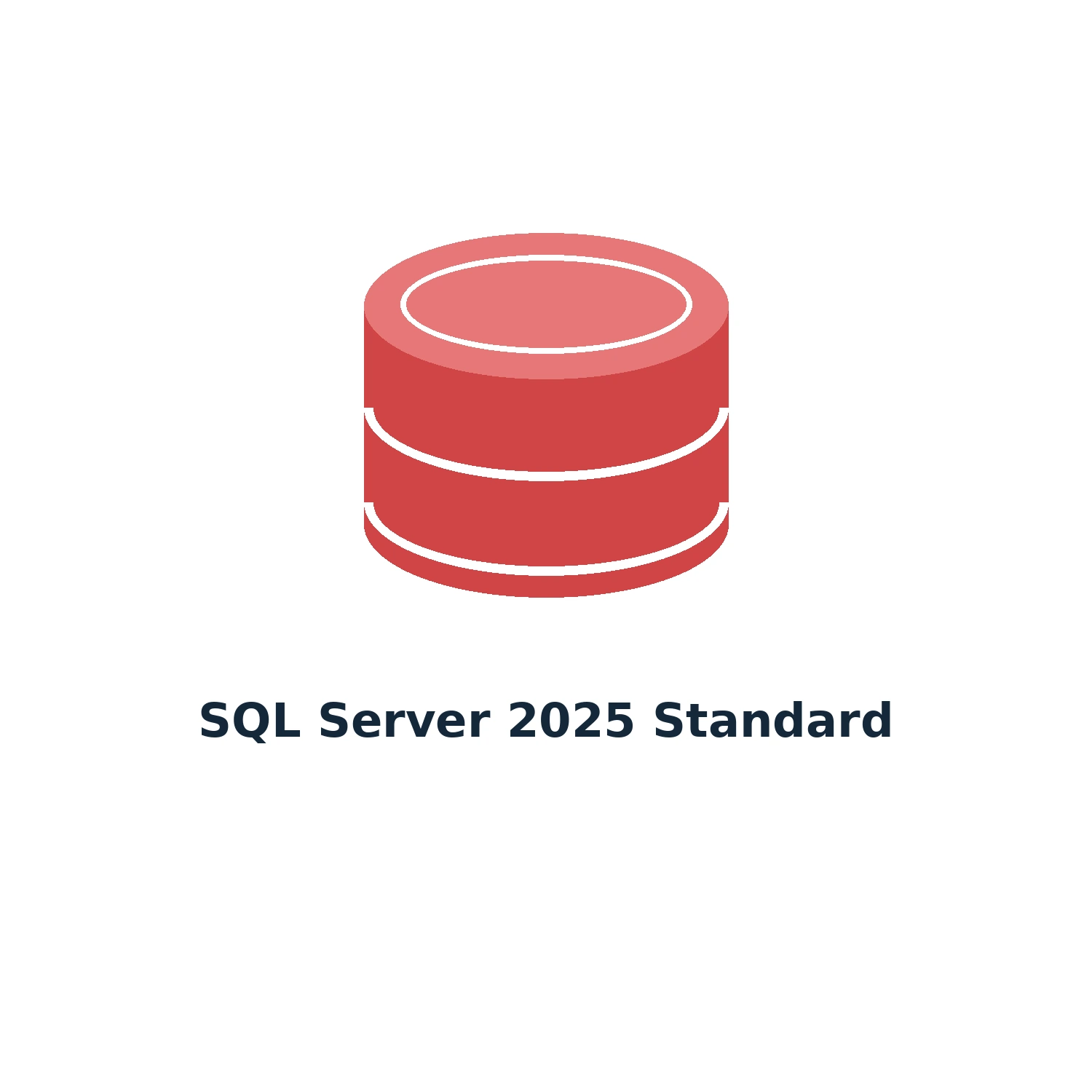 SQL Server 2025 Standard – Digital Licence Key – Lifetime — product illustration