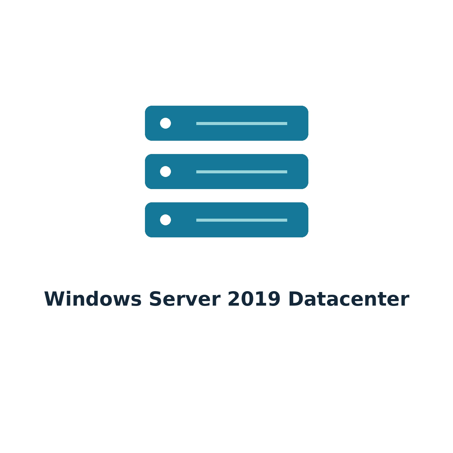 Windows Server 2019 Datacenter – Digital Licence Key – Lifetime — product illustration