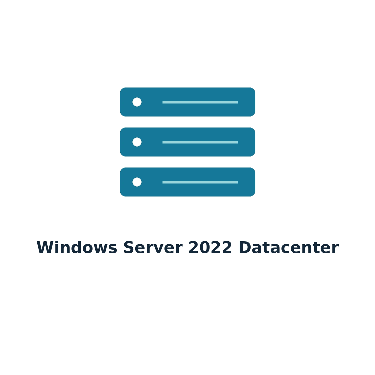Windows Server 2022 Datacenter – Digital Licence Key – Lifetime — product illustration