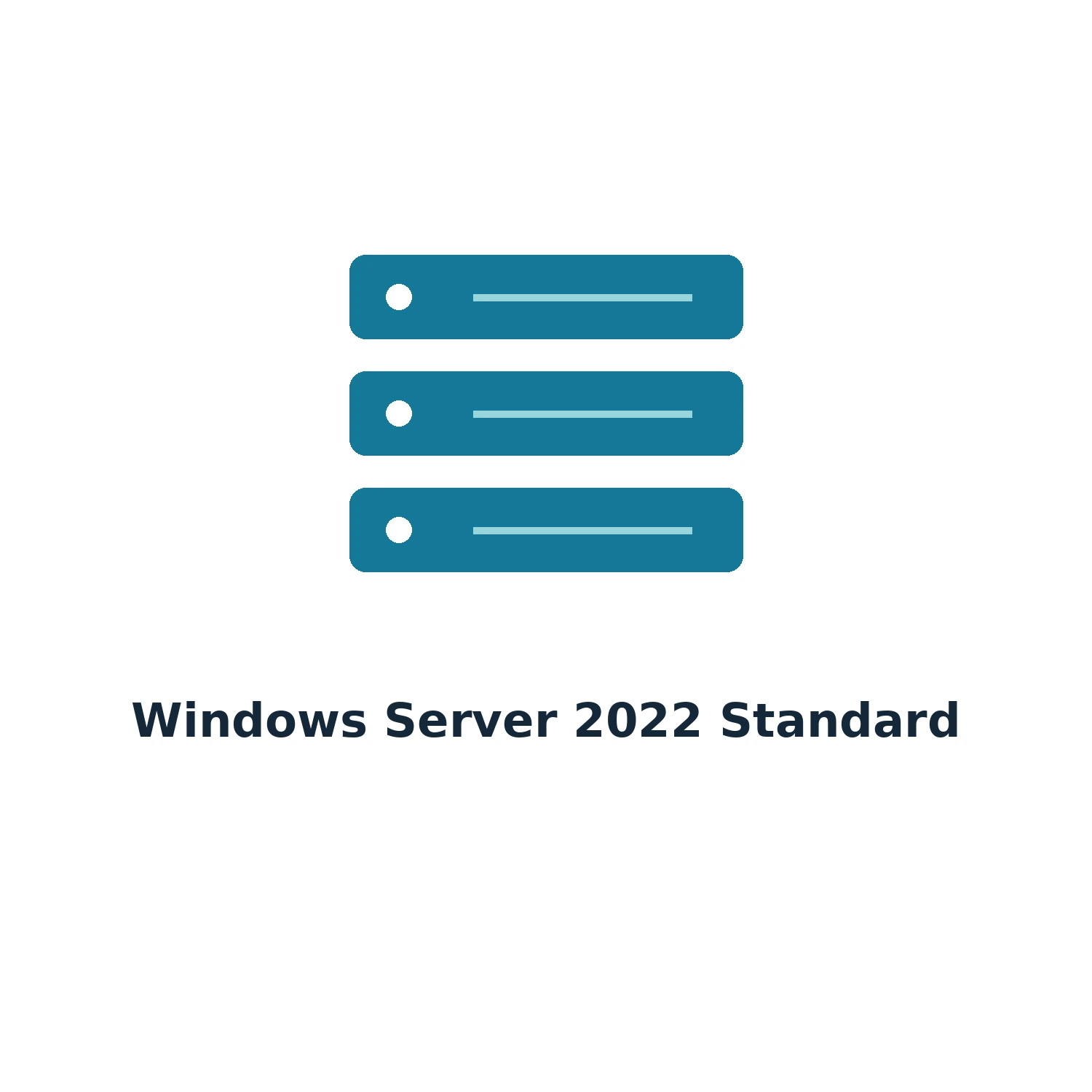 Windows Server 2022 Standard – Digital Licence Key – Lifetime — product illustration