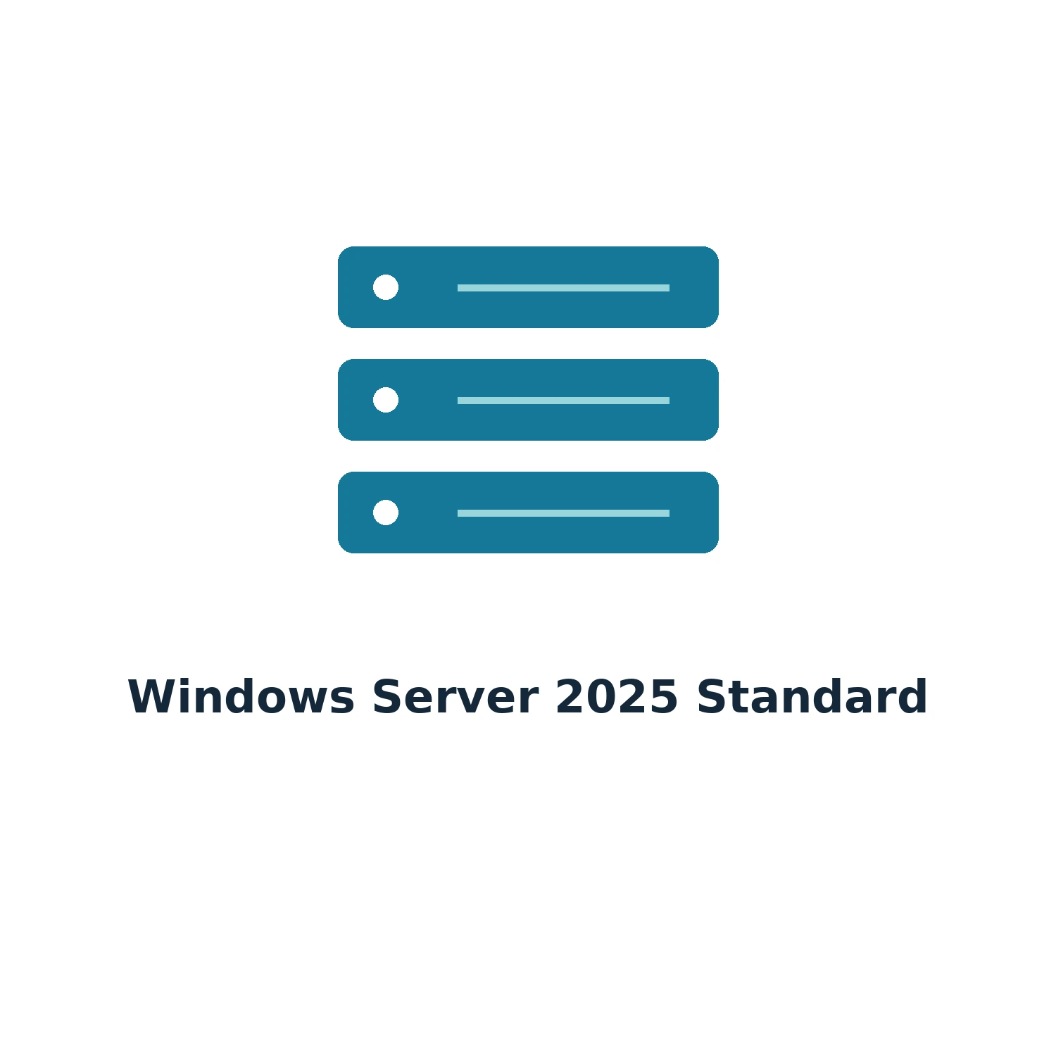 Windows Server 2025 Standard – Digital Licence Key – Lifetime — product illustration