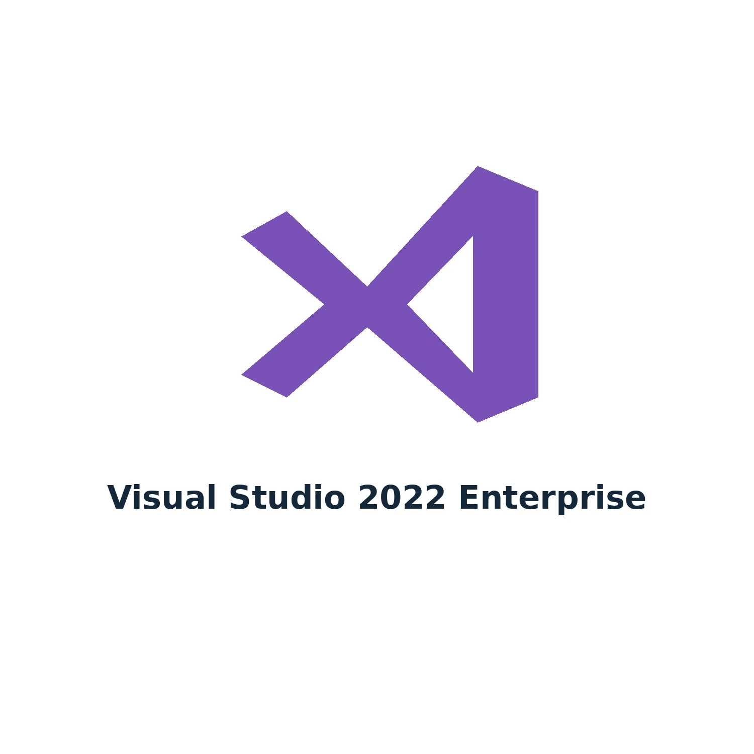 Visual Studio 2022 Enterprise – Digital Licence Key – Lifetime — product illustration